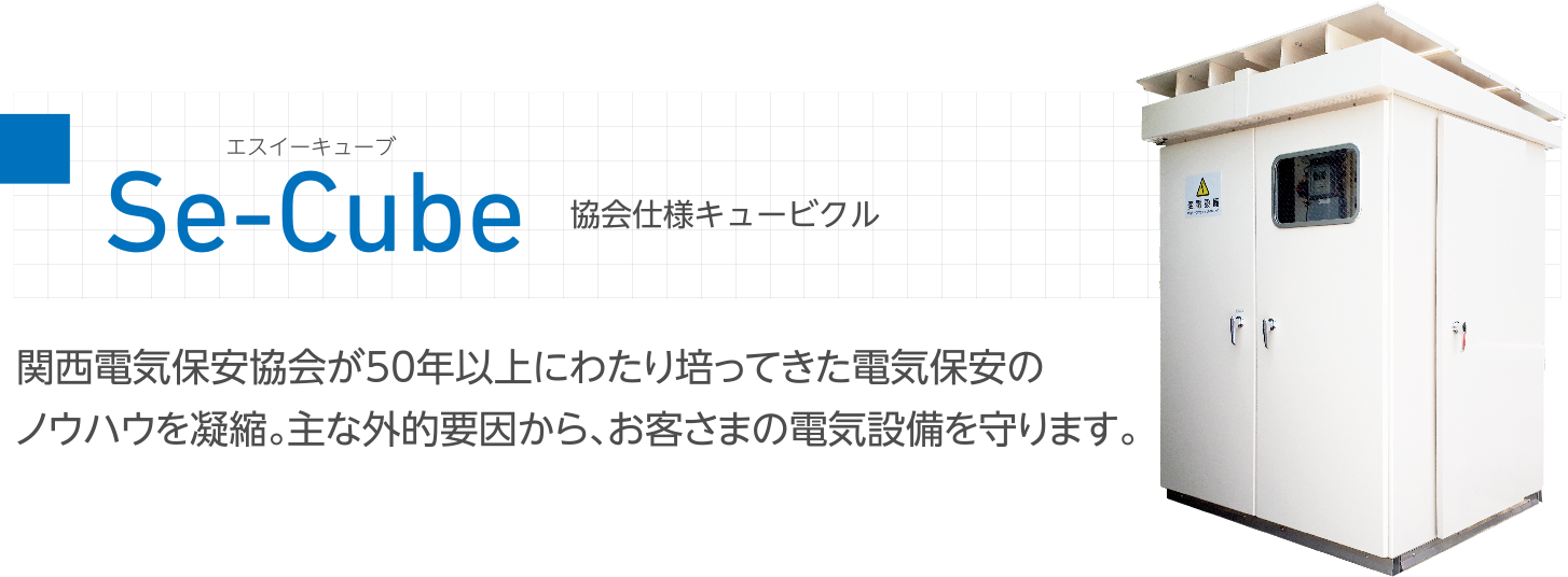 Se-Cube 協力仕様キュービクル 関西電気保安協会が50年以上にわたり培ってきた電気保安のノウハウを凝縮。主な外的要因から、お客さまの電気設備を守ります。